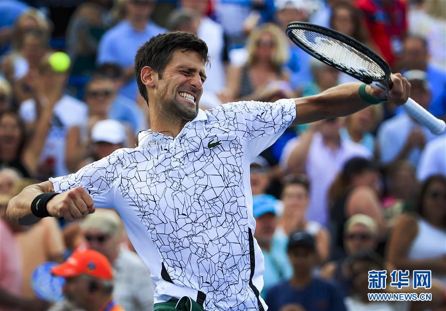 华体会体育-莱万多夫斯基连续十二场比赛得分超过问鼎冠军，塞尔维亚队挑战极限！的简单介绍